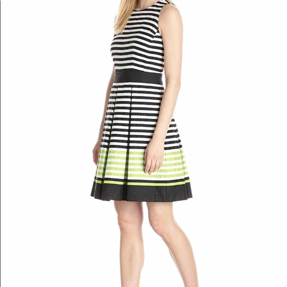 Taylor Fit and Flare dress